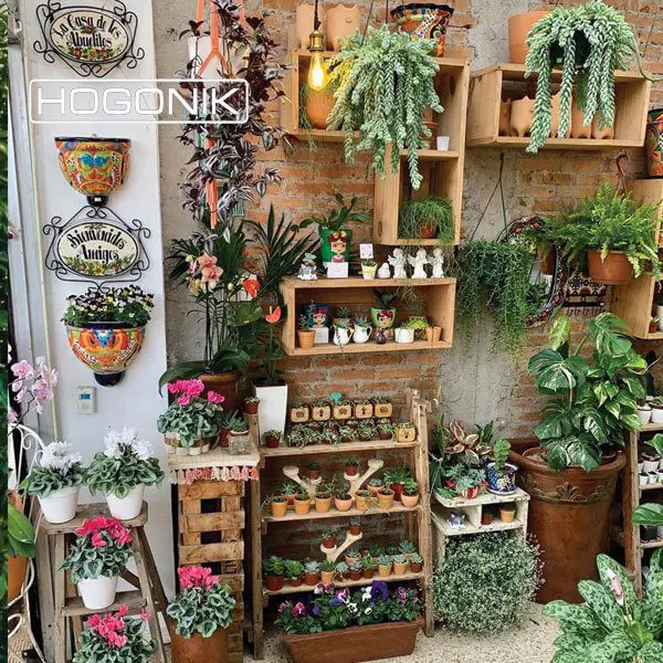گلخانه کوچک آپارتمانی